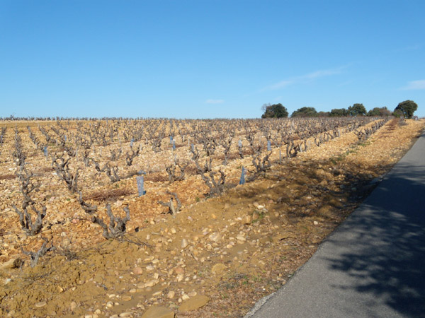 ampuis_59.jpg