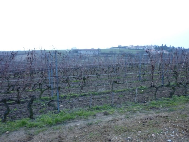 P1000332.jpg