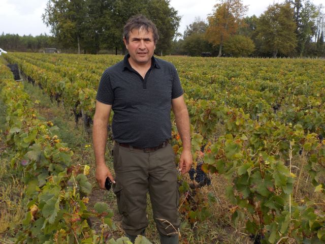 Vendanges Cornélie Octobre 2014 012.JPG