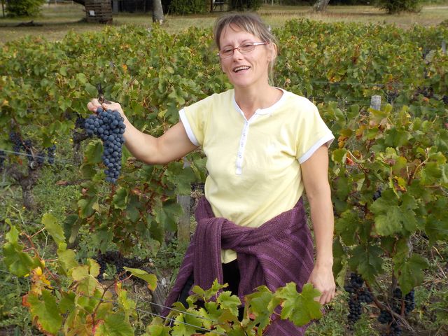 Vendanges Cornélie Octobre 2014 027.JPG