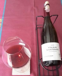 Volnay-Santenots_Premier Cru_2009_1.jpg