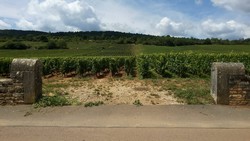 Meursault_02.jpg