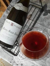 Morey-Saint-Denis_1998_2.jpg