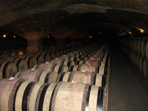 ChateauDeMeursaultBarriques.jpg