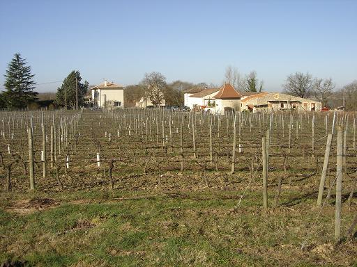 DSC02558.JPG